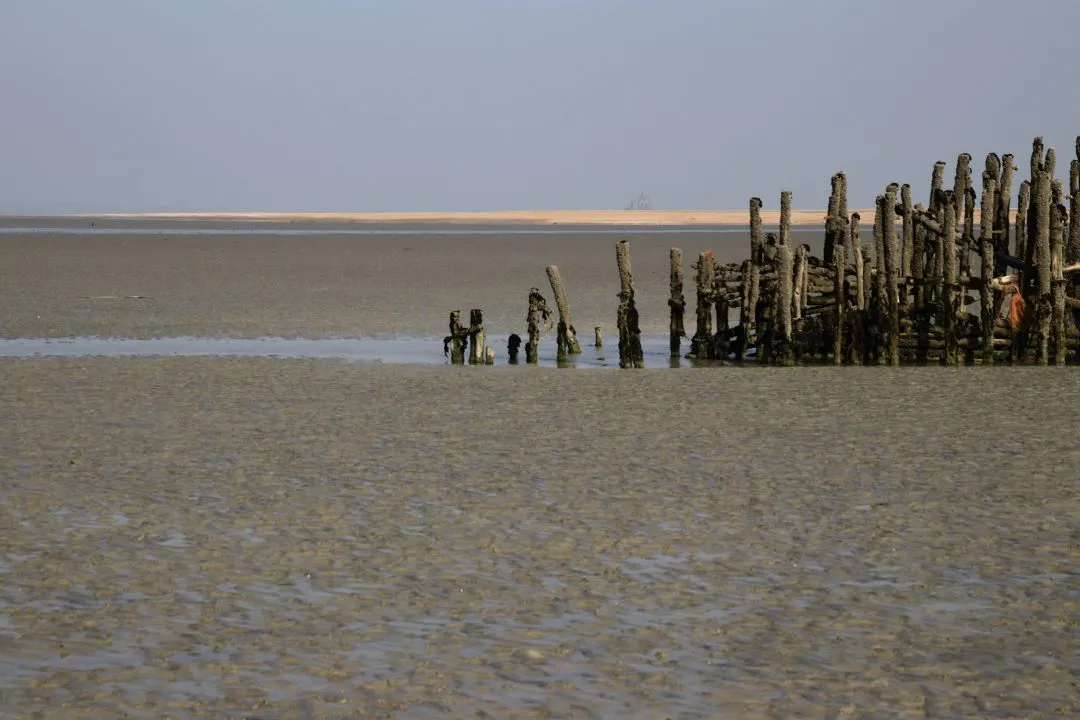 PÊCHERIE EN BOIS EN BAIE DU MT ST MICHEL