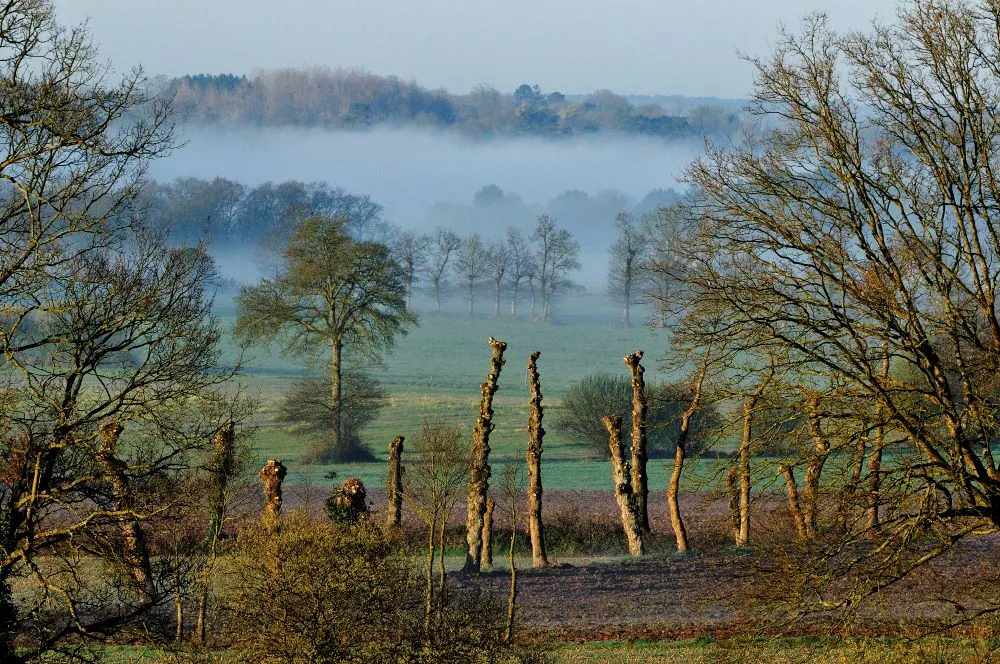 CAMPAGNE THURIALAISE