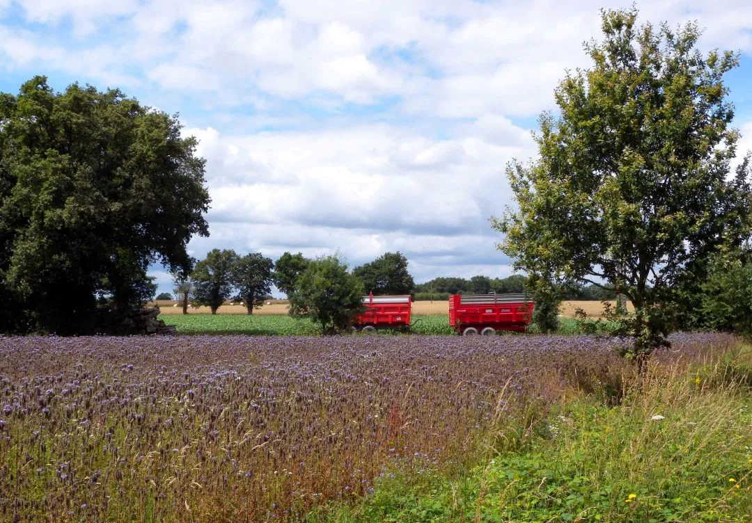 Vers Guipry, un exemple de paysage contemporain