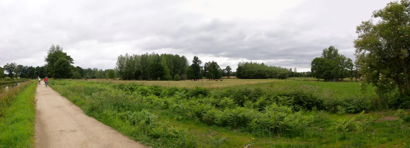 A l’est de Saint-Domineuc, portion complètement ouverte le long du canal