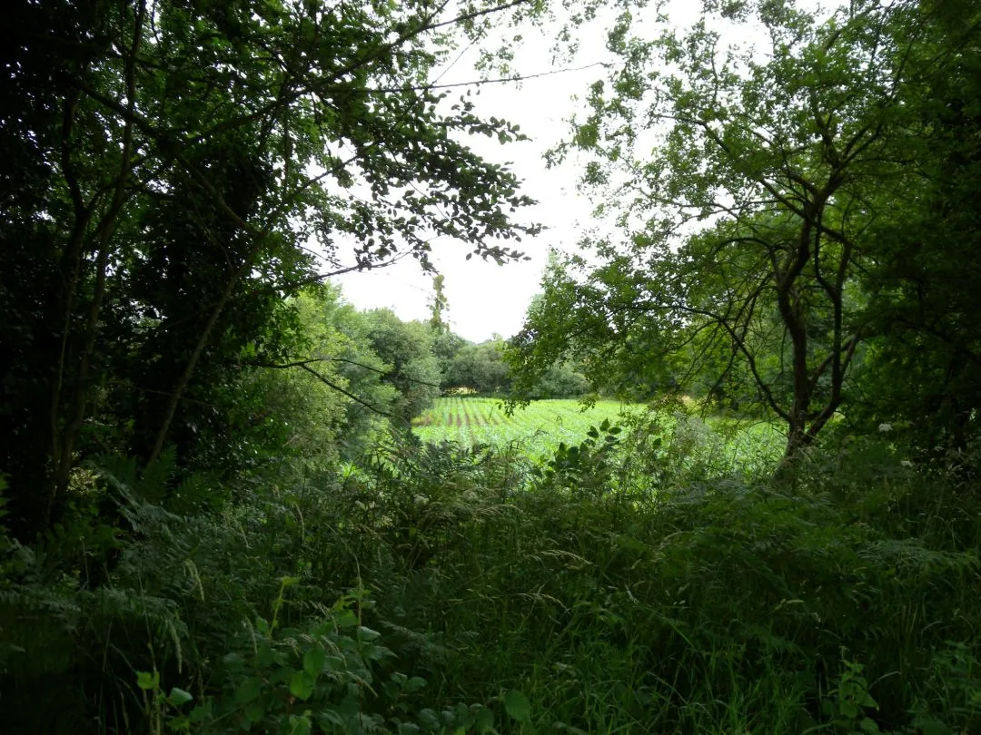 Entre Trévérien et Saint-Domineuc